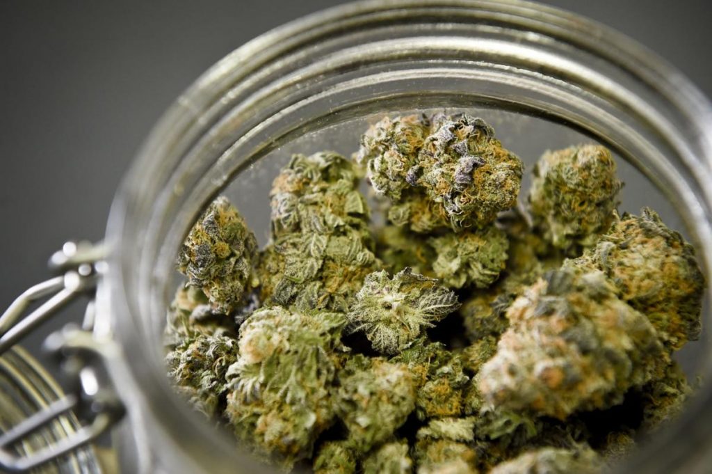 Cannabis Dispensary