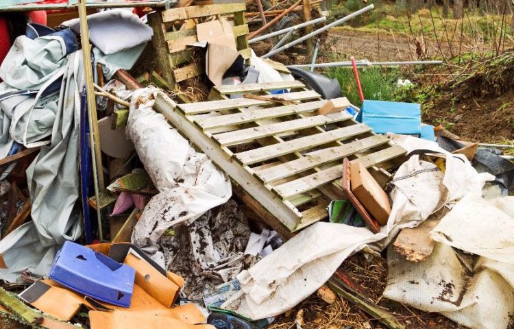 Junk Removal