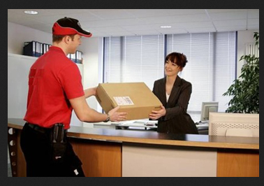 express courier service