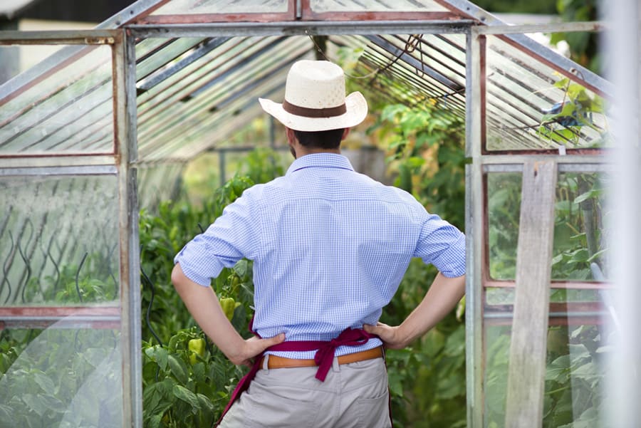 Plant Center