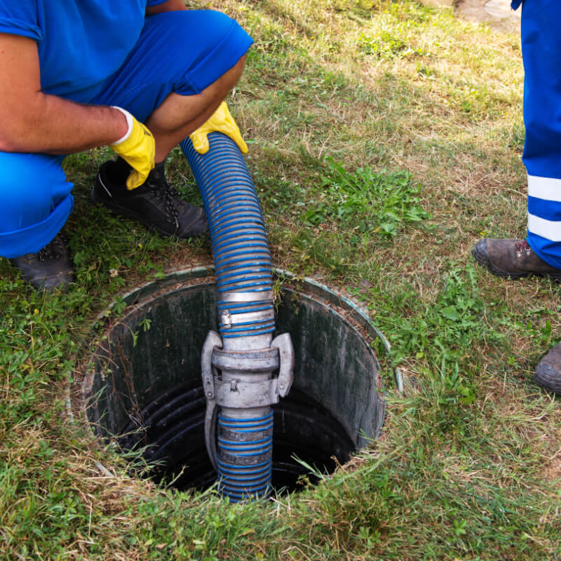 Natural Bacteria for Septic Tanks